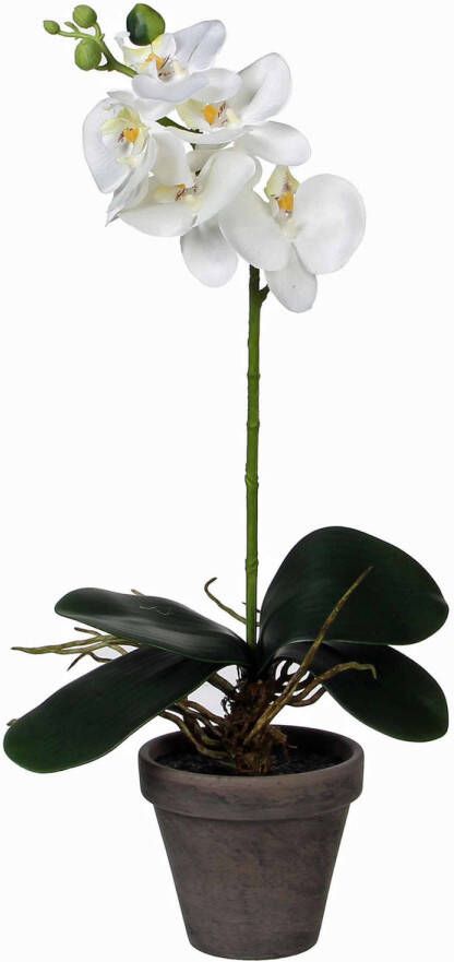 Mica Decorations Phalaenopsis Orchidee kunstplant wit in grijze pot H38 x D13 cm Kunstplanten