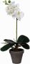 Merkloos Sans marque Kunstplant Orchidee Phalaenopsis Wit H 48cm Keramiek sierpot Mica Decorations - Thumbnail 3