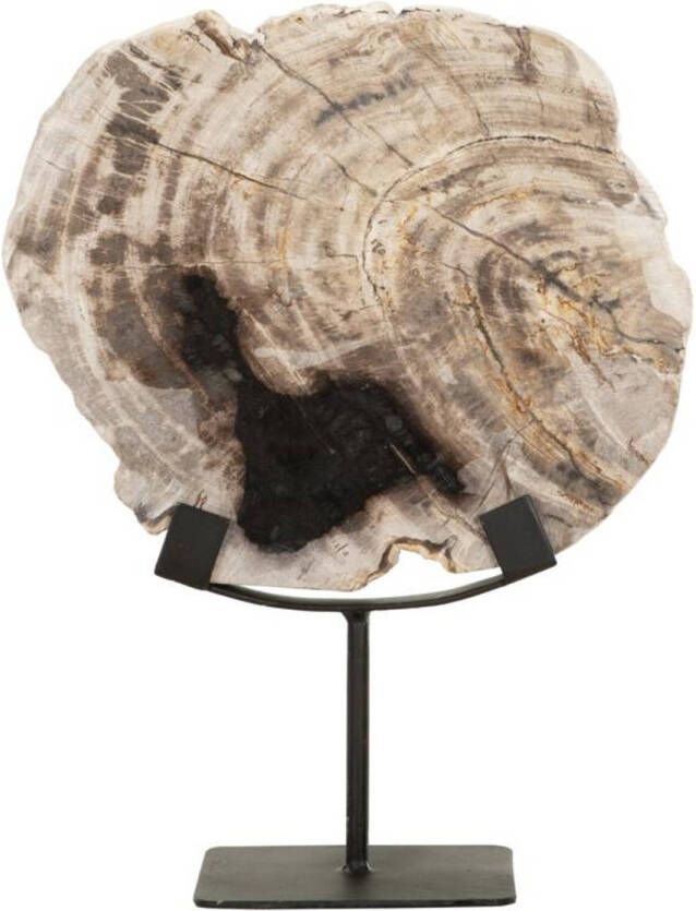 Must Living Statue Fossil 33x26x11 cm petrified wood on an base
