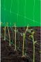 Praxis Nature Klim- Groei- En Geleidenet Groen Geëxtrudeerd Maaswijdte 15 X 17 Cm (10 G m²) 1 X 10 M - Thumbnail 1