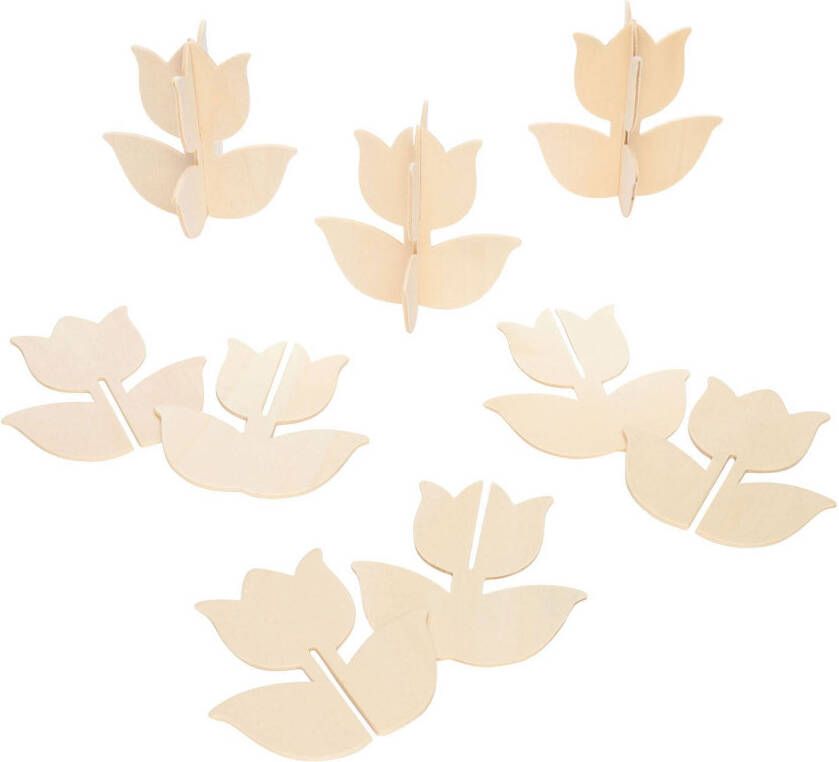 No brand Colorations Maak en Versier je eigen Houten Tulp Set van 12
