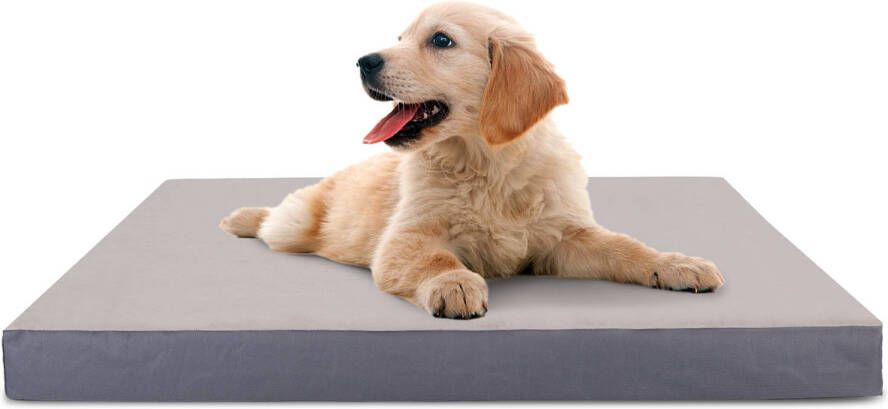 Nobleza Orthopedische Hondenkussen Wasbaar Hondenbed Maat S: 60 x 40 x 8 cm Grijs