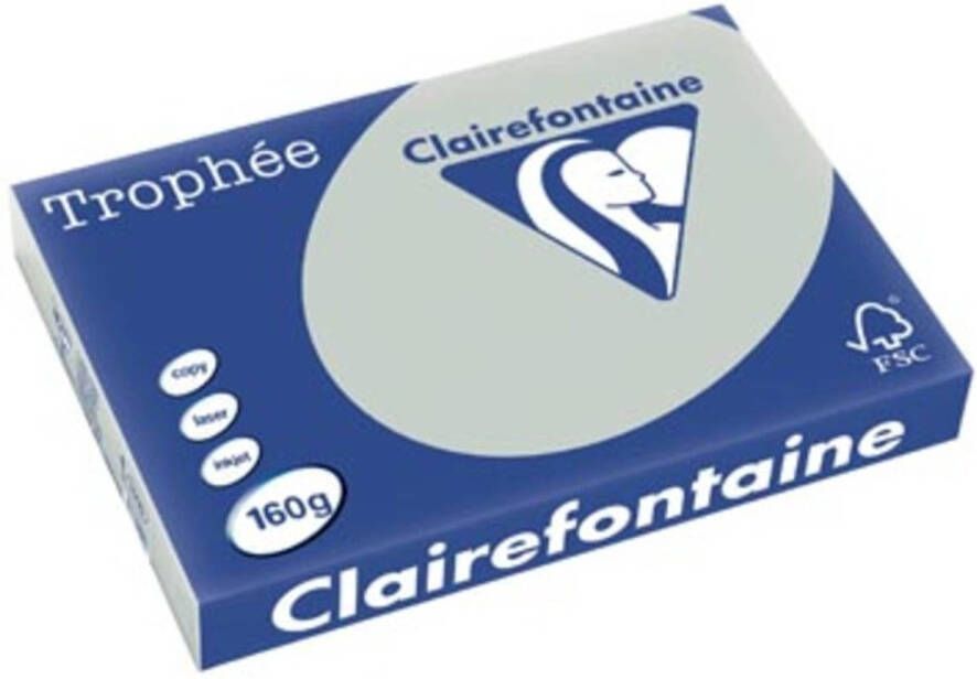 OfficeTown Clairefontaine Trophée Pastel A3 lichtgrijs 160 g 250 vel