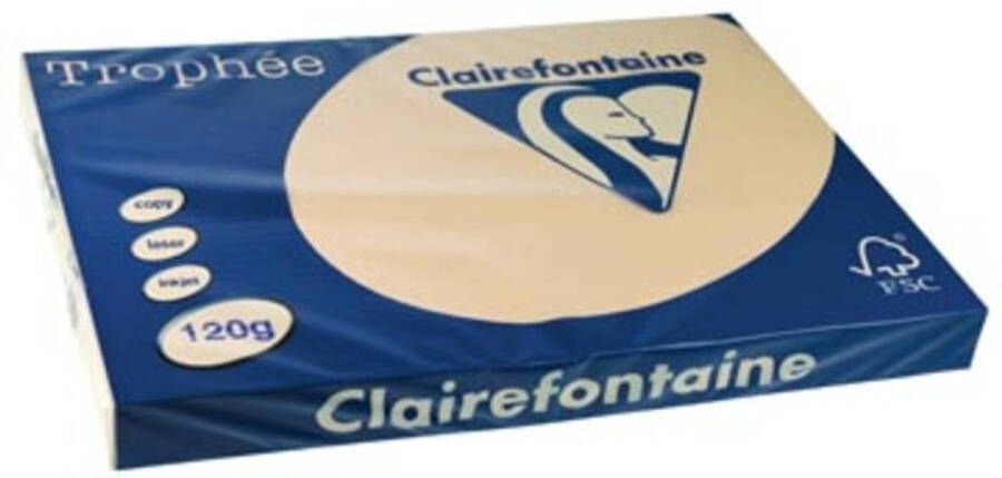OfficeTown Clairefontaine Trophée Pastel A3 parelgrijs 120 g 250 vel
