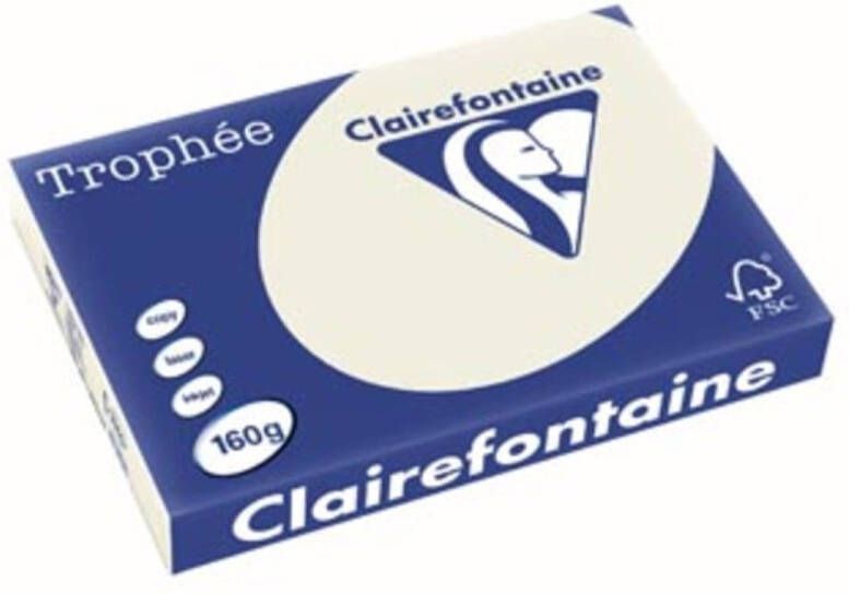 OfficeTown Clairefontaine Trophée Pastel A3 parelgrijs 160 g 250 vel