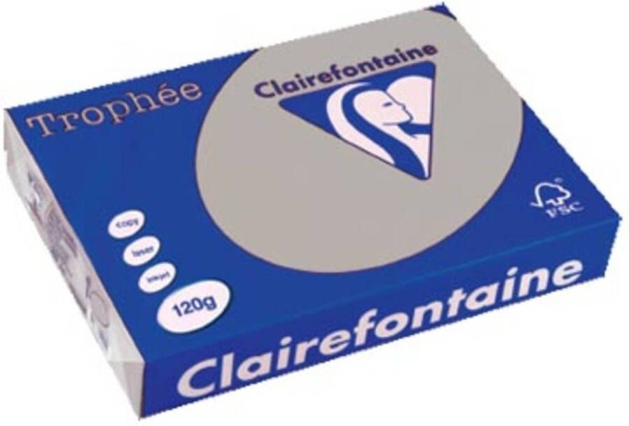 OfficeTown Clairefontaine Trophée Pastel A4 lichtgrijs 120 g 250 vel