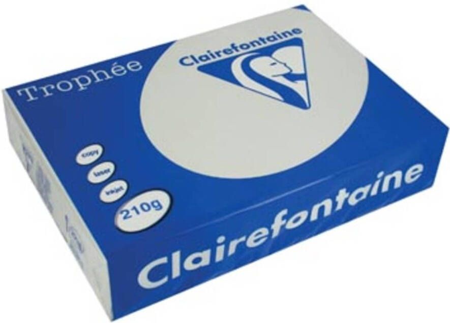 OfficeTown Clairefontaine Trophée Pastel A4 lichtgrijs 210 g 250 vel