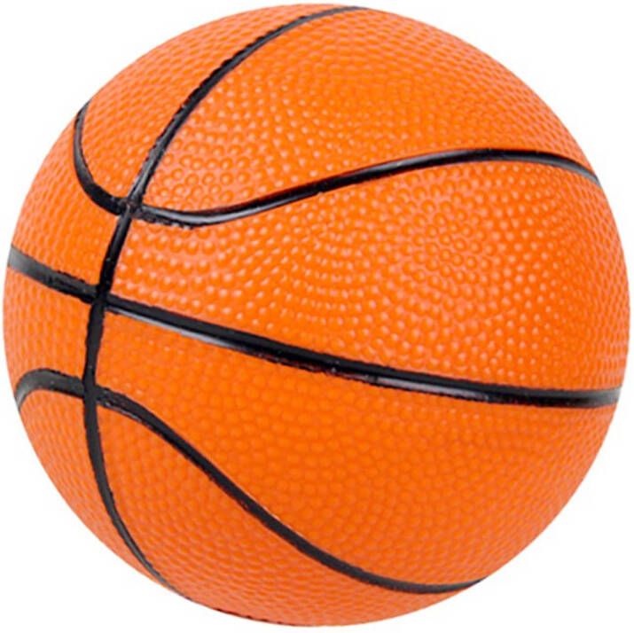Pegasi Mini Basketbal
