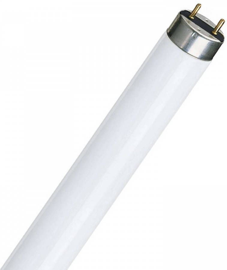 Philips TL-D SUPER 80 Daglichtlampen kleur 865 18 Watt 590mm