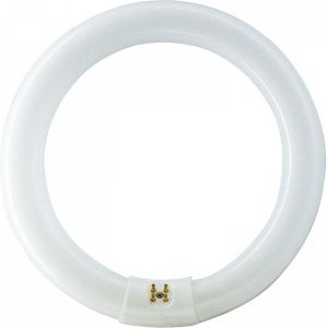 Philips TL buis rond koel wit 32W G10Q