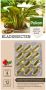 Pokon Bio Kuur voor Weerbare en Gezonde Kamerplanten Capsules 12 stuks Geschikt voor alle kamer- buitenplanten en moestuin - Thumbnail 2