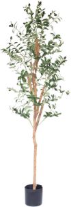 PrettyPlants Kunst Olijfboom 170cm Grote Kunstplant voor binnen Nepplant Olijf