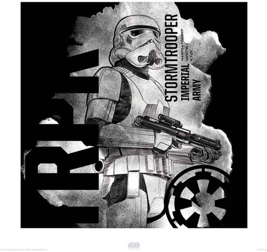 Merkloos Kunstdruk Star Wars Rogue One Stormtrooper Smoke 40x40cm