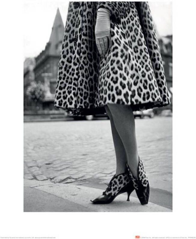 Merkloos Kunstdruk Time Life Dior Leopard Print 30x40cm