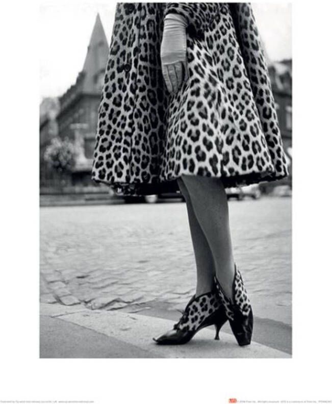 Pyramid Kunstdruk Time Life Dior Leopard Print 30x40cm