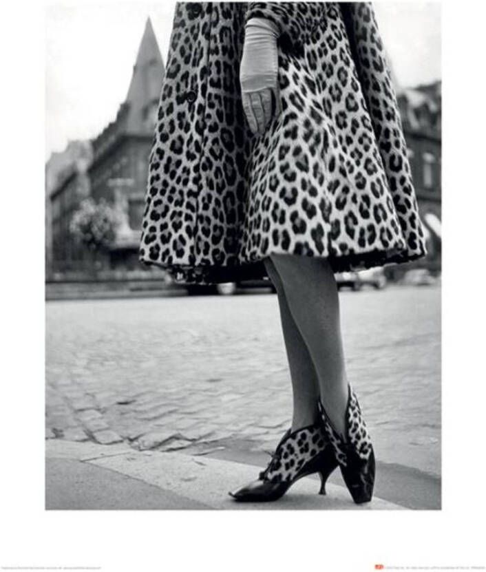 Pyramid Kunstdruk Time Life Dior Leopard Print 40x50cm
