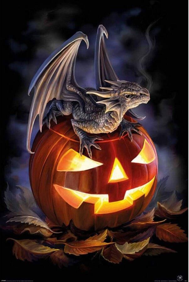 Pyramid Poster Anne Stokes Trick or Treat 61x91 5cm