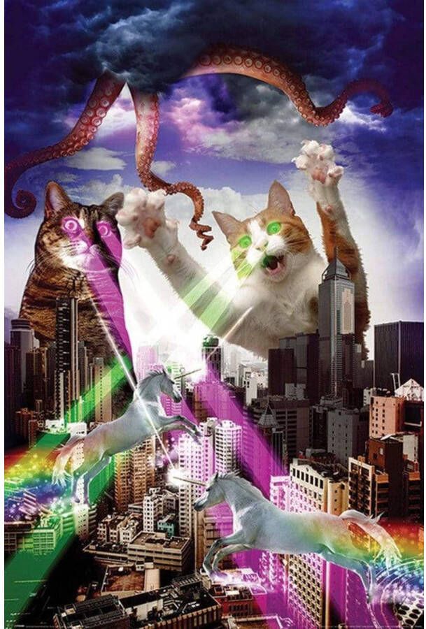 Pyramid Poster Apocalypse Meow 61x91 5cm