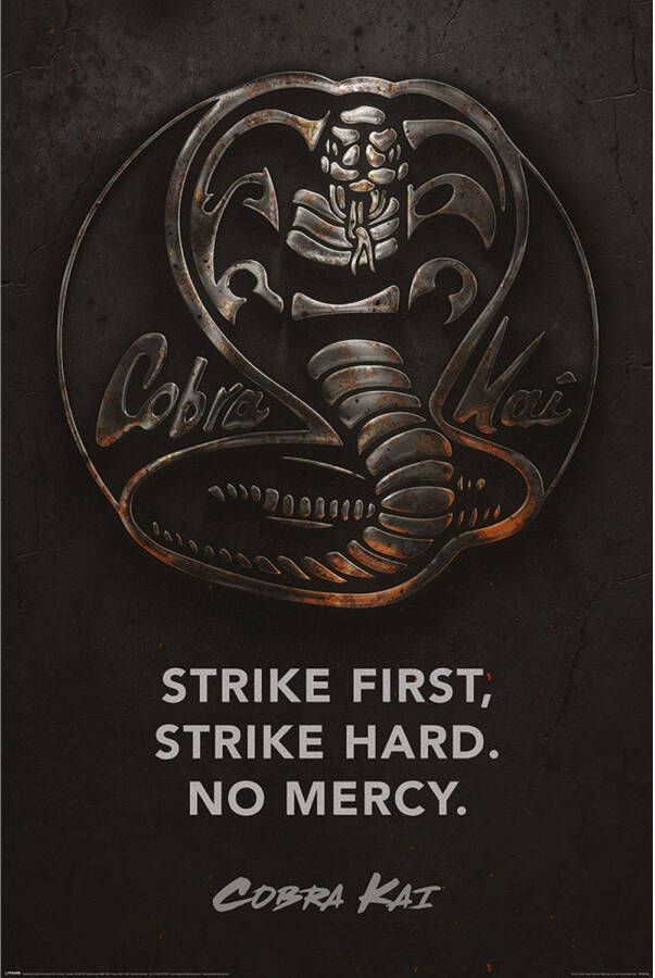 Pyramid Poster Cobra Kai Metal 61x91 5cm