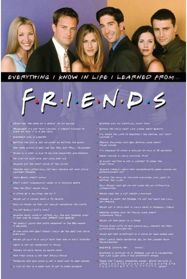 Pyramid Poster Friends Everything I Know 61x91 5cm