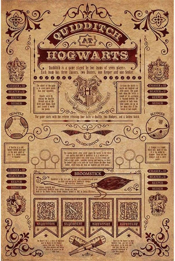 Pyramid Poster Harry Potter Quidditch At Hogwarts 61x91 5cm