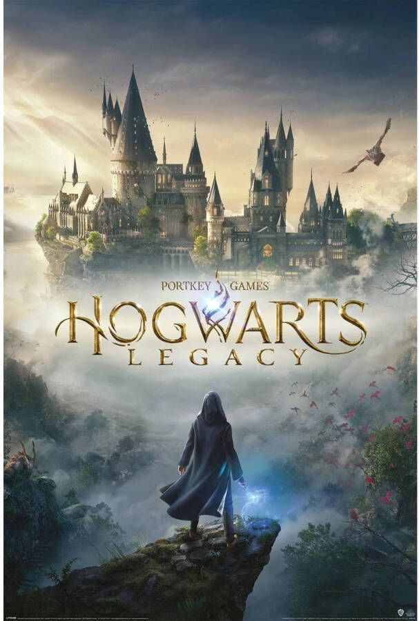 Pyramid Poster Hogwarts Legacy Wizarding World Universe 61x91 5cm