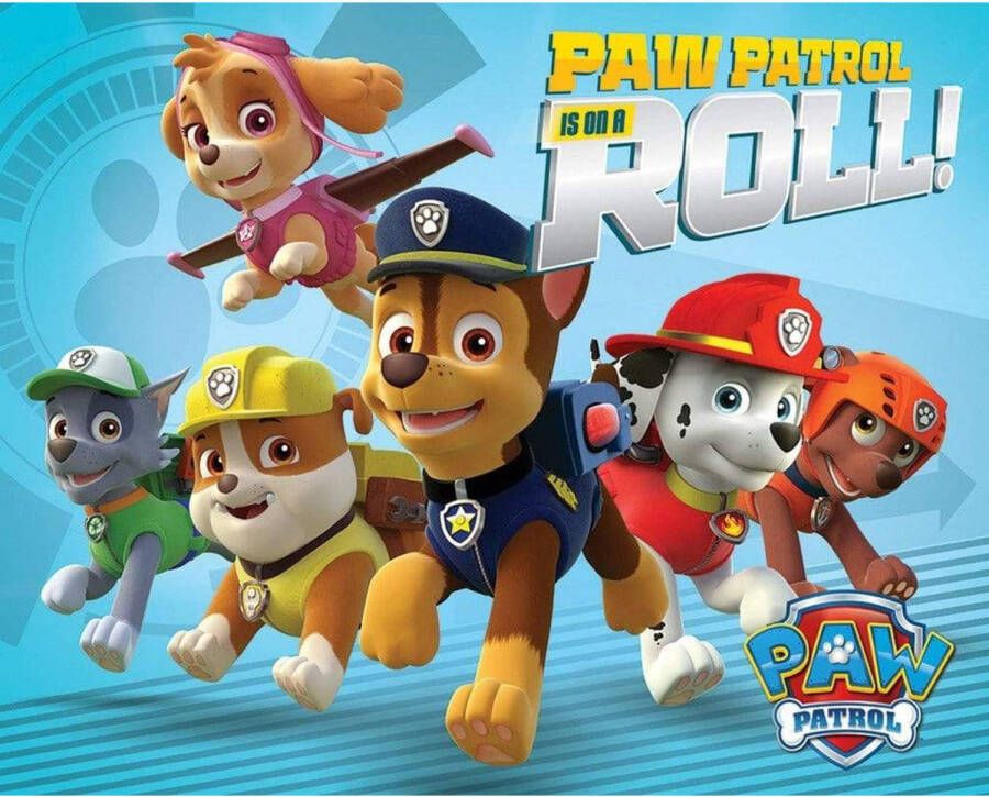 Pyramid Poster Paw Patrol On a Roll 50x40cm