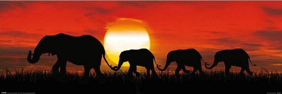 Pyramid Poster Sunset Elephants 91 5x30 5cm