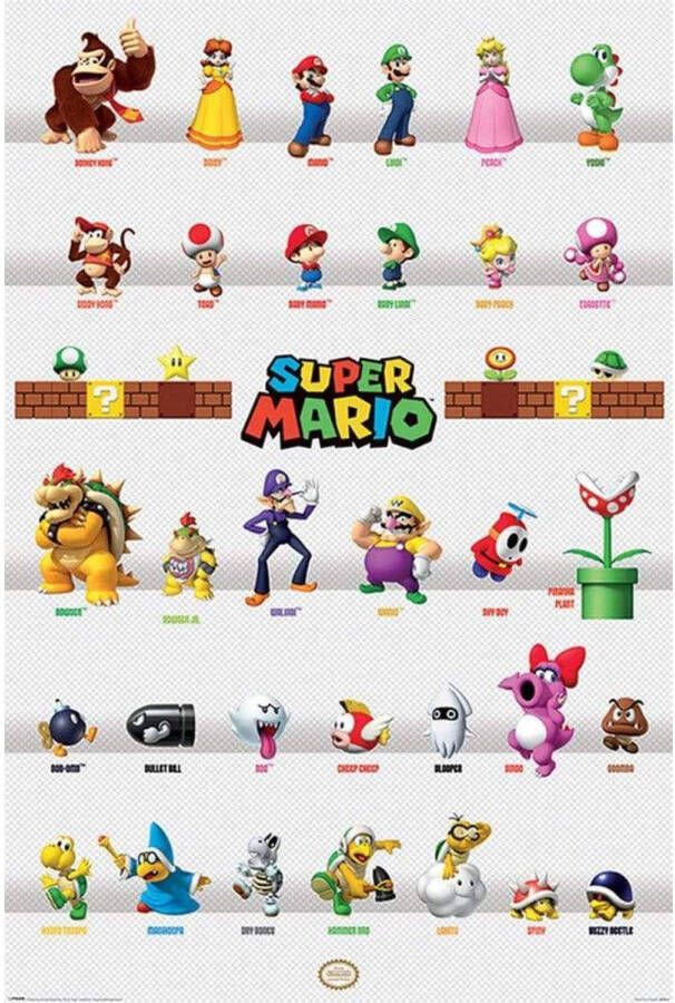 Pyramid Poster Super Mario Character Parade 61x91 5cm