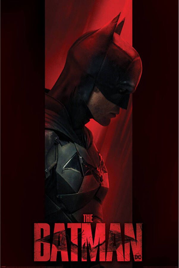 Pyramid Poster The Batman Out of the Shadows 61x91 5cm