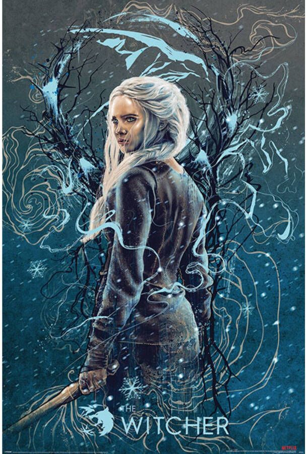 Pyramid Poster The Witcher Ciri the Swallow 61x91 5cm