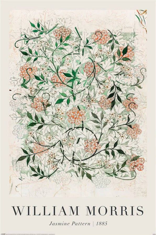 Pyramid Poster William Morris Jasmine in Progress 61x91 5cm