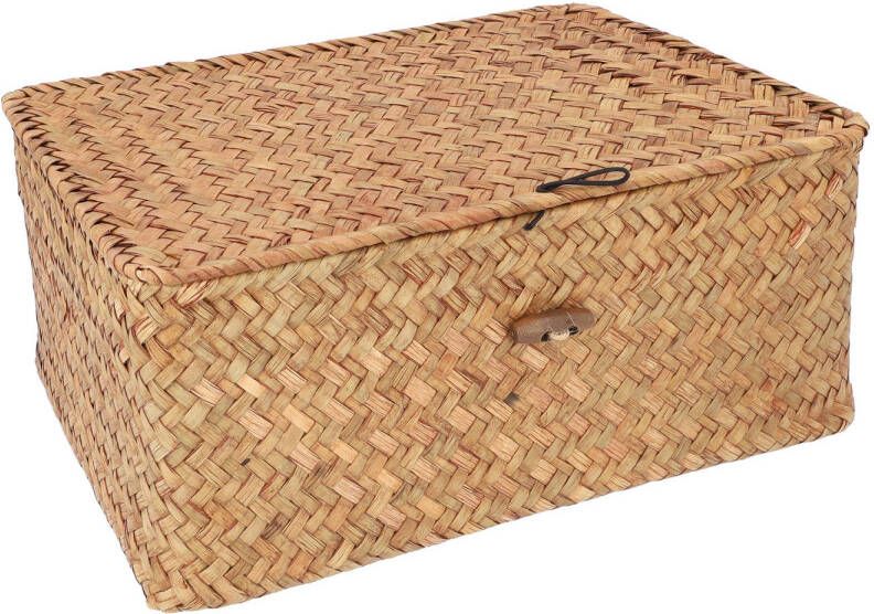 QUVIO Opbergmand 29 x 19 x 12 cm Rotan Bruin