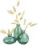QUVIO Vazen set van 3 Vaas voor droogbloemen Glazen vaas Bloemenvaas Woonaccessoires voor bloemen en boeketten Decoratieve accessoires Glas Transparant groen 7 x 12 cm (dxh) - Thumbnail 2
