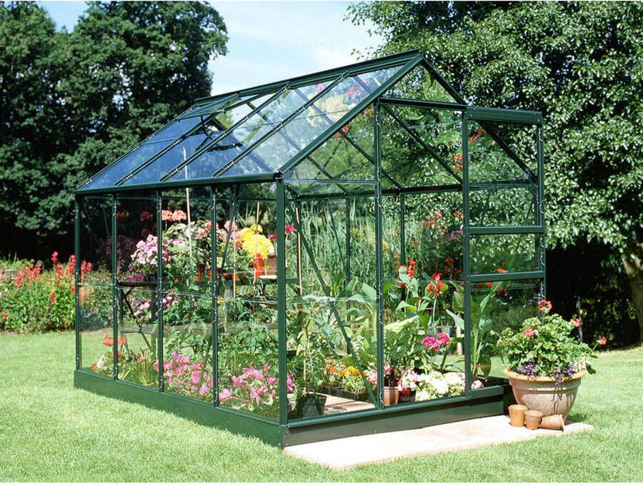 Royal Well Popular 86 Groen Tuindersgl