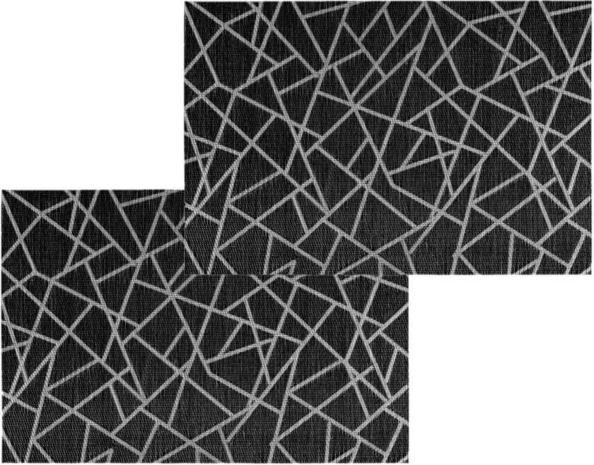 Secret de Gourmet Set van 6x stuks placemats grafische print zwart texaline 45 x 30 cm Placemats