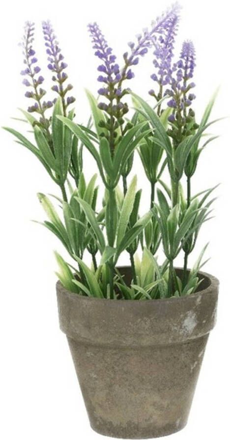 Bellatio Flowers & Plants Groene lilapaarse Lavandula lavendel kunstplant 25 cm in grijze betonlook pot Kunstplanten nepplanten
