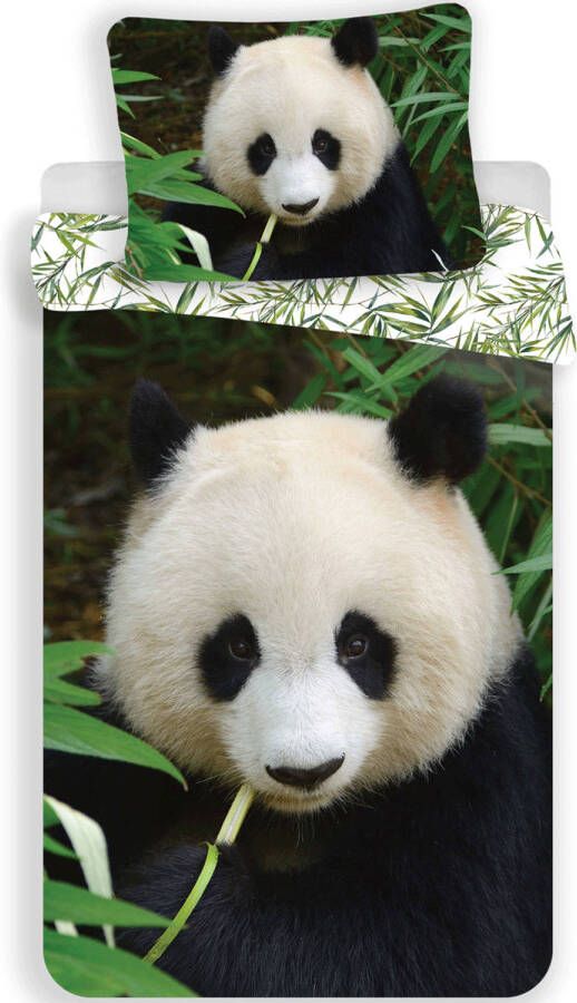 SimbaShop Animal Pictures Panda Dekbedovertrek Eenpersoons 140 x 200 cm Multi
