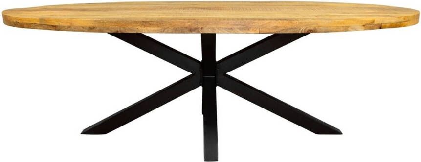 Starfurn Eetkamertafel Denver Ovaal Mangohout 160 cm