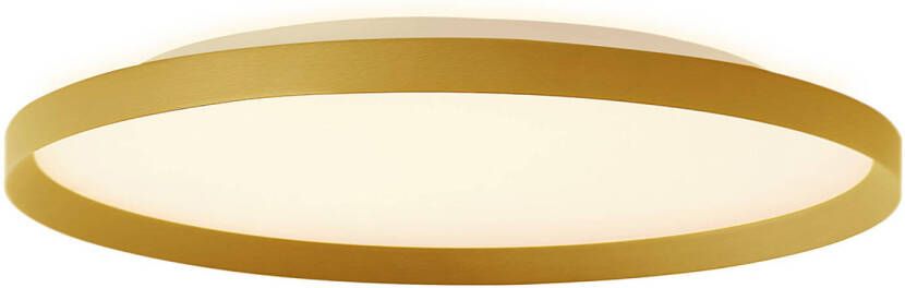 Steinhauer Flady plafonnieres ø 50 cm Ingebouwd (LED) goud