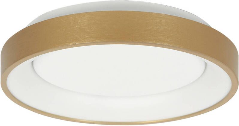 Steinhauer plafonniere Ringlede goud kunststof 38 cm ingebouwde LED-module 3691GO