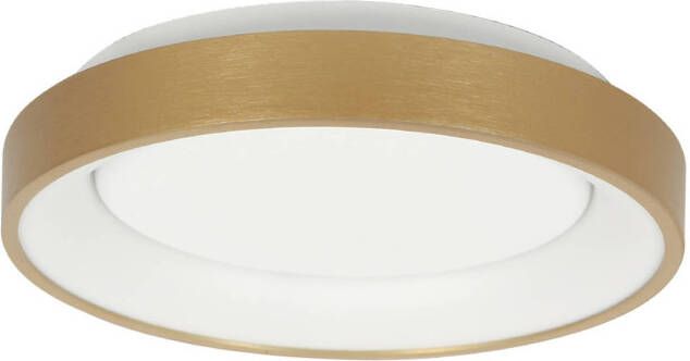 Steinhauer plafonniere Ringlede goud kunststof 28 cm ingebouwde LED-module 3690GO