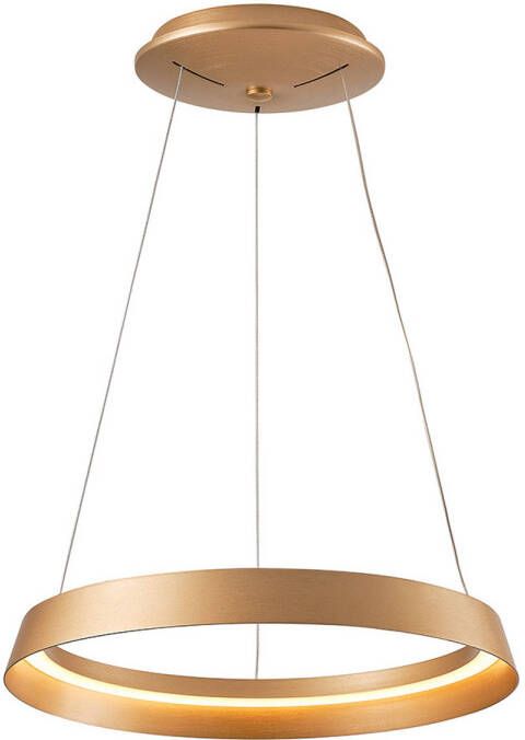 Steinhauer Ringlux hanglamp -- goud