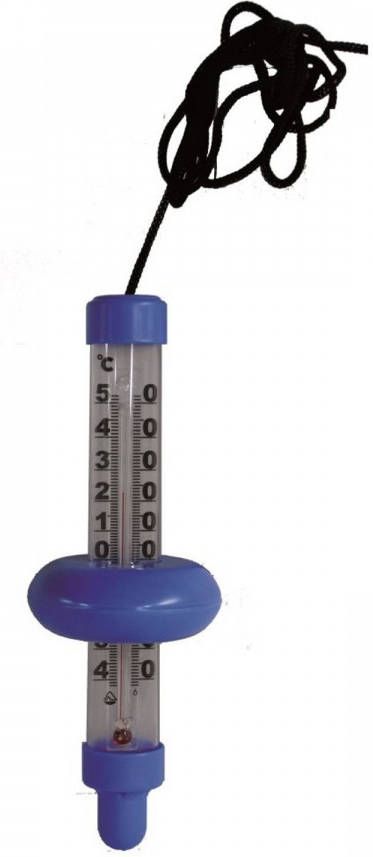 Talen Tools Zwembadthermometer 20 cm