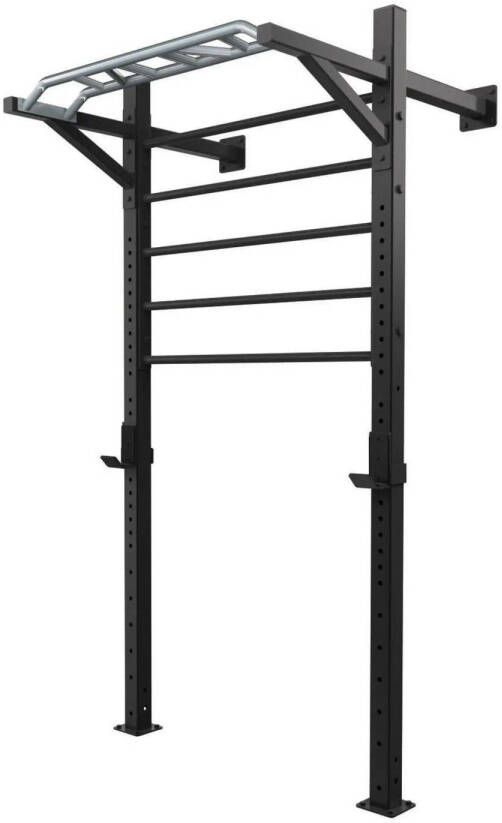 Toorx Fitness Toorx Professional LDX-5000 Wallbar Staal