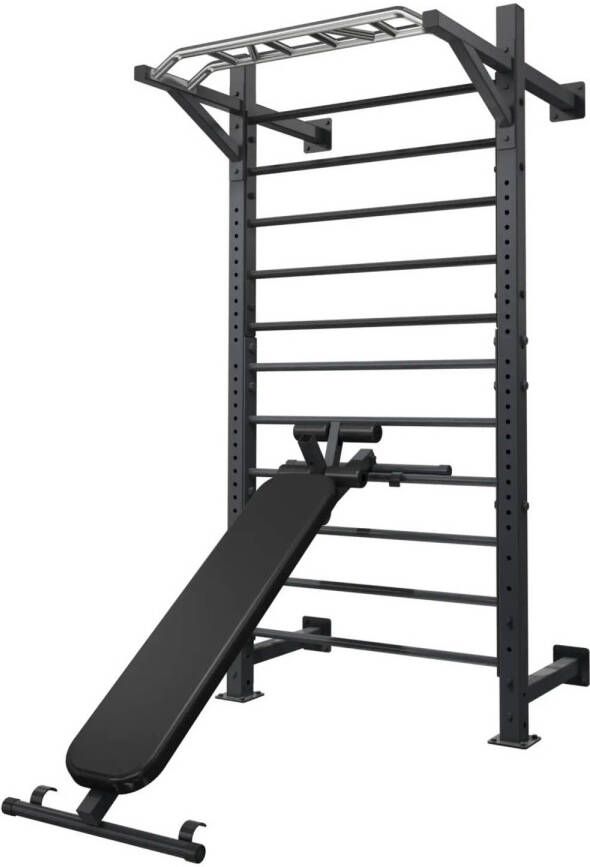 Toorx Fitness Toorx Professional Trainingsbank voor LDX-3000 en LDX-5000 Wallbar