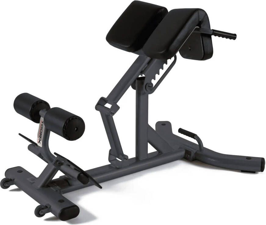 Toorx Fitness Toorx Professional WBX-B2600 Back Extension