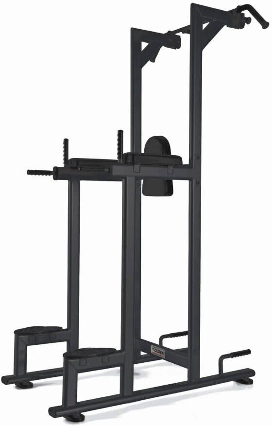 Toorx Fitness Toorx Professional WBX-B2800 Chin Dip Leg Raise