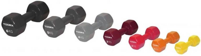 Toorx Fitness Toorx Vinyl Dumbbell 4 kg Lichtgrijs