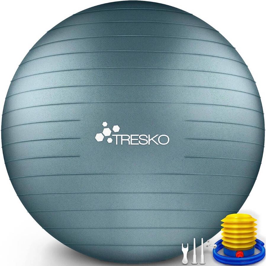 Tresko Fitnessbal yogabal met pomp diameter 55 cm Grey Blue